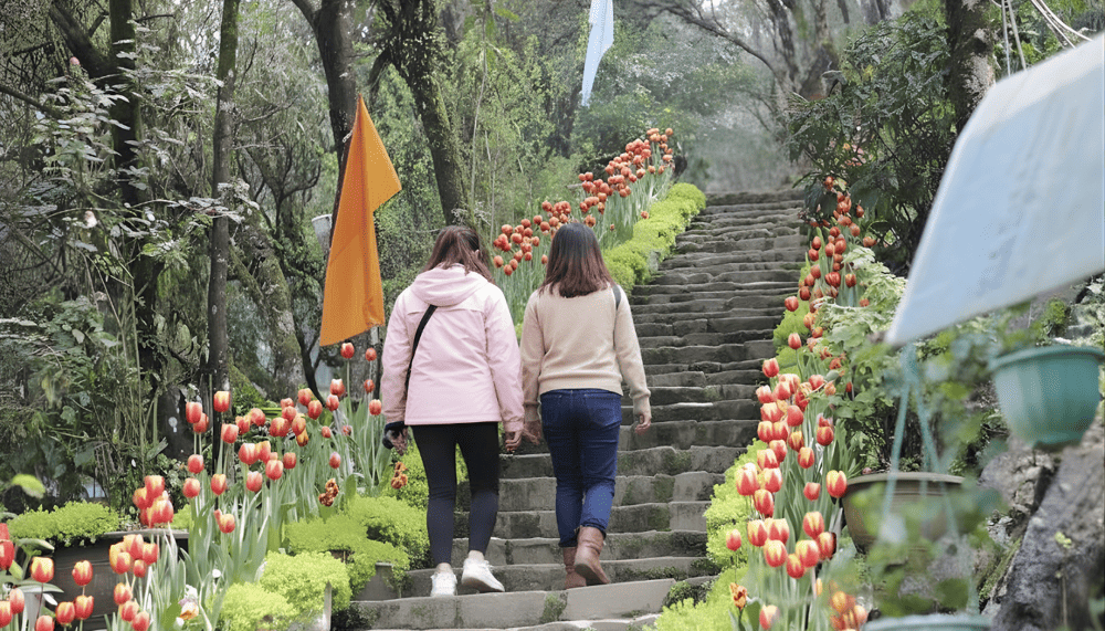 A pair of specialized climbing shoes will help you easily conquer Ham Rong peak